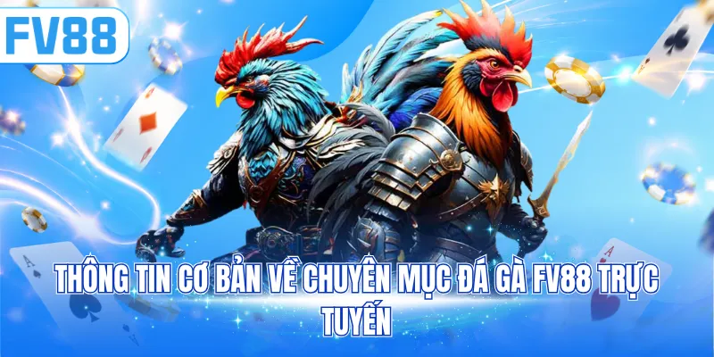 Thông tin cơ bản về chuyên mục đá gà FV88 trực tuyến